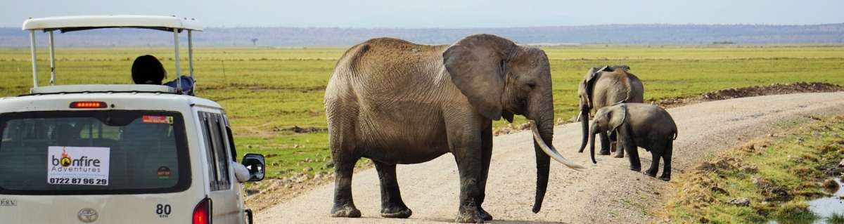 Amboseli - Tsavo Safari - Kenya